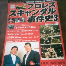 別冊宝島　プロレス3冊セット_画像2