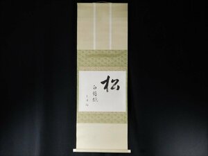 【宝扇】 D-698 茶道具/掛軸/茶掛/尋牛斎/久田宗也 宗匠 筆/掛軸「松 白鶴眠」/共箱/美品