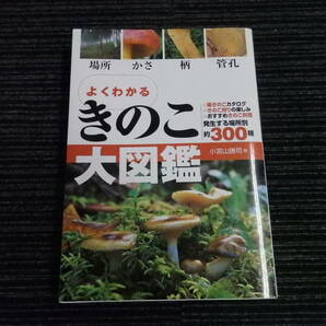 よくわかるきのこ大図鑑 場所 かさ 柄 胞子 小宮山勝司 著 ★送料全国一律：520円★ キノコ/ワライタケ/シメジ/エノキ/キクラゲの画像1