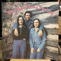 【US盤Org.】Buck White & The Down Home Folks That Down Home Feeling (1977) Ridge Runner RRR0006 Jerry Douglas, Ricky Skaggs参加_画像1