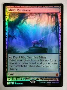 霧深い雨林 foil exp expedition エクスペディション