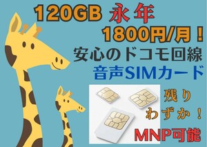 120GB 1800円/月 格安SIM 音声SIM 安心のdocomo回線 MNP可能 期間限定 キャンペーン中のみお申込み可能 格安シム SIMカード SIMフリー