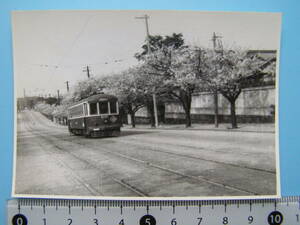 (J51)577 写真 古写真 電車 鉄道 鉄道写真 都電 東京都電 6135 桜 昭和25年4月10日 五番町 路面電車 はがれた跡が薄くなっています