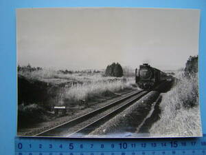 (A44)129 写真 古写真 電車 鉄道 鉄道写真 蒸気機関車 D5272 昭和38年12月22日 御殿場線 富士岡-岩波 SL