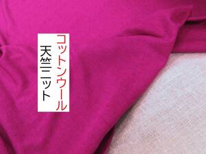 ★3ｍ★天竺ニット★カットソー★コットンウール★美色★ラズベリーピンク★WL2020★延長可★生地★布★新品★条件付き送料無料/半額★