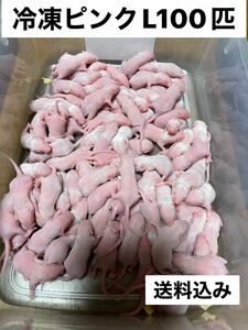 週末特価国産冷凍ピンクマウスL.100匹　北海道、沖縄県及び離島発送追加料金