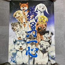 義勇一心　高橋よしひろ画業50周年記念展　銀牙　アニメ　ポスター　B2サイズ_画像1