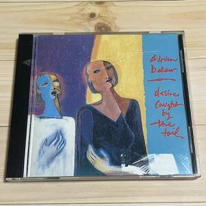 ADRIAN BELEW. Desire caught by the tail エイドリアン・ブリュー　夢のしっぽ