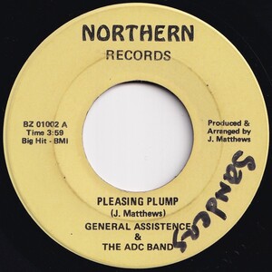 General Assistence Pleasing Plump / I'm Looking For My Roots Northern US BZ 01002 205753 SOUL ソウル レコード 7インチ 45