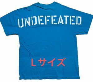 中古 Undefeated tee Tシャツ ターコイズ ストリート アンディ logo supreme 古着 tee LA