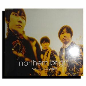 【中古CD・送料込み】１２ｃｍシングル・NORTHERN BRIGHT・「WILDFLOWER」