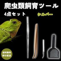 爬虫飼育4点set【銀】 ピンセット／スプーン 両生類 レオパ ヒョウモントカゲ_画像1