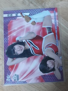 BBM2020 女子プロレスカード　レギュラーカード　向後桃　