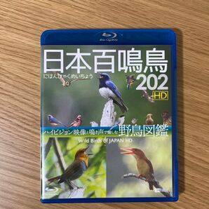 シンフォレストBlu-ray 日本百鳴鳥 202 HD ハイビジョン映像と鳴き声で愉しむ野鳥図鑑