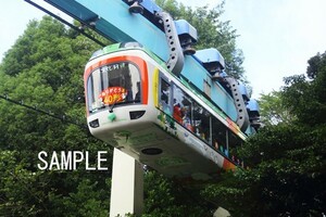 上野モノレール　40形【鉄道写真00974】KGサイズ☆