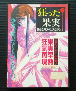 MSX2　狂った果実　動作確認済み　箱、説明書、付属品付き