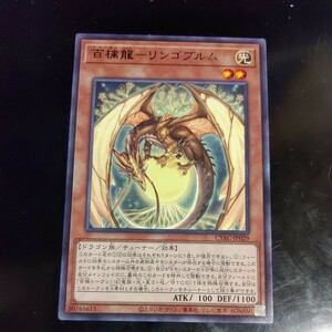 遊戯王 百檎龍ーリンゴブルム 字レア CYAC