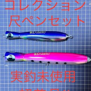 実釣未使用超美品！尺ペンセット　セイカイコレクション