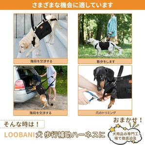 LOOBANI 犬ハーネス 歩行補助ハーネス 老犬前足と後足の補助 けが リハビリにも利用可能 安定調節ショルダーストラップ付 M-小型・中型犬)の画像9