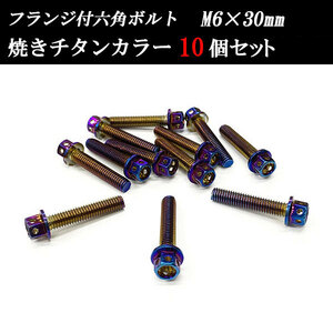 フランジ付六角ボルト M6×30mm P1.0 フラワーヘッド ステンレス 10個set 車 汎用 外装 カー用品 焼きチタン