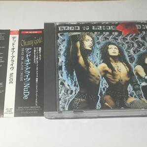 【税表記なし帯】国内盤CD/ディスコ/デッド・オア・アライヴ/NUDE/ヌード 送料¥180の画像1