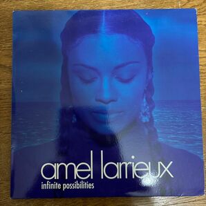 Infinite Possibilities Amel Larrieux 2LP アナログレコード　アメールラリュー　2枚組