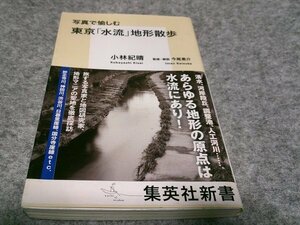 写真で愉しむ 東京「水流」地形散歩 (集英社新書)