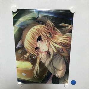 A69406 ◆カミカゼ エクスプローラー A3サイズ クリアポスター 送料350円 ★何点買っても送料350円★