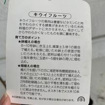 レッドキウイ　雌木・雄木（早雄）セット【キウイフルーツ/接木苗/赤実キウイ/果樹苗/ガーデニング/苗木】01_画像5