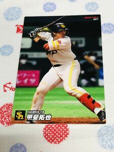 カルビー Calbee プロ野球カード 福岡ソフトバンクホークス 甲斐拓也