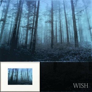 【WISH】サイン有「Blue forest」リトグラフ 約6号 直筆サイン 青い森 ブルーカラー ナチュラル 大自然 #24022932