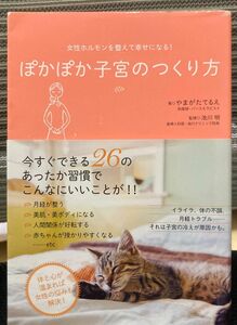 ぽかぽか子宮のつくり方　女性ホルモンを整えて幸せになる！ （女性ホルモンを整えて幸せになる！） やまがたてるえ／著　池川明／監修