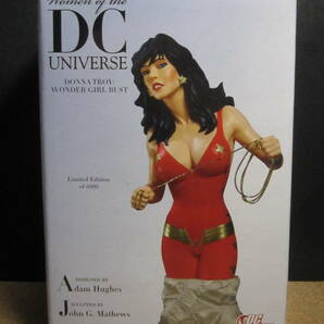 ☆ワンダーガール(ドナ・トロイ)-：バストアップフィギュア☆Donna Troy：Wonder girl Women Of The DC Universe☆美品☆の画像8