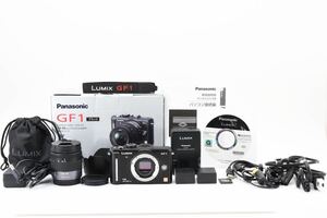 ★極上美品★ パナソニック Panasonic LUMIX DMC−GF1 L314S1440