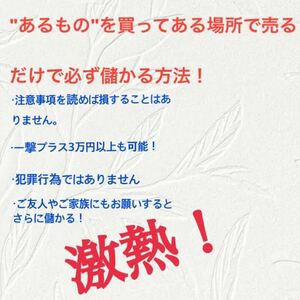 ［超簡単］100%必ず儲かる最新せどり！まだ注目されてない新手の手法！