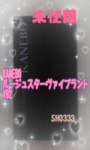 ☆即決有り☆新品未使用☆カネボウ　KANEBO ルージュスターヴァイブラント V02