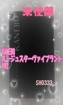 ☆即決有り☆新品未使用☆カネボウ　KANEBO ルージュスターヴァイブラント V02 送料込み_画像1