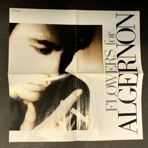 【CD】【紙ジャケット仕様】＜＜ジャンク＞＞【美盤 】氷室京介　FLOWERS for ALGERNON ジャケット：TOCT-25085 DISC:CT32-5300 BOOWY_画像7