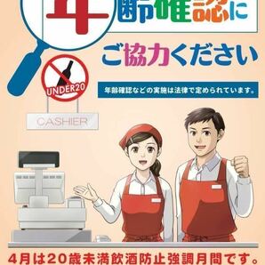 【全国配送可】ザ ゴールドロンズ(700ml) 正規品 スプリングバンク スコシア ブレンデッド キャンベルタウンの画像6