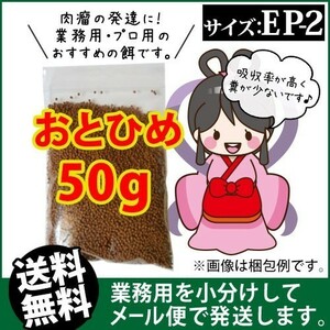 108-03-010 日清丸紅飼料おとひめEP2（沈降性）50g ※メール便　金魚小屋-希-福岡