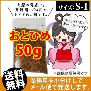 062-03-006 ★追跡なし★ お試し 日清丸紅飼料おとひめS1（沈降性）50g ※メール便　金魚小屋-希-福岡