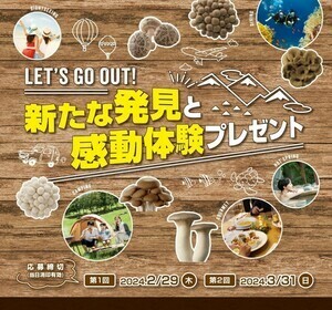 ■即決■HOKTOマーク1枚 専用応募ハガキ10枚迄■ホクト新たな発見と感動体験プレゼントキャンペーン■えらべるpay■懸賞応募■