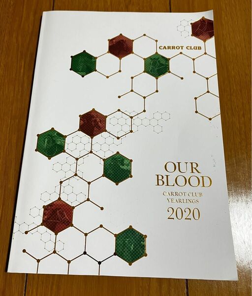 OUR BLOOD キャロットクラブ一歳馬募集カタログ2020.2021