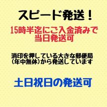 国産 ジャンボうちわ 黒 (艶なし) 無地 1本_画像3