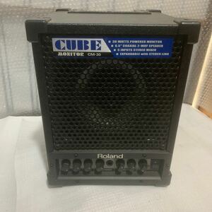 Roland ローランド Cube Monitor CM-30 