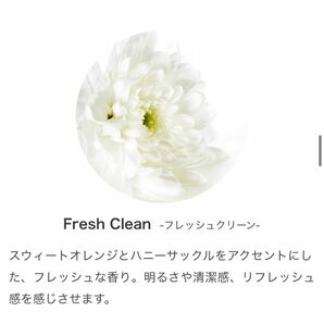 フレッシュクリーンFresh Clean Prolitec30ml