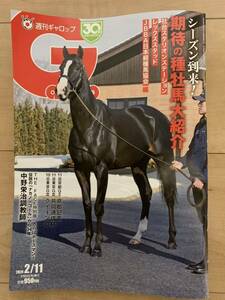 週刊ギャロップ 週刊Gallop 京都記念　共同通信杯　クイーンカップ