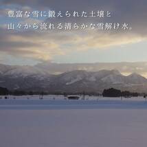 雪若丸 5kg×2袋 山形県産 送料無料 玄米 白米 新米 令和5年産 精米無料 一等米 米 お米 30kg 20kg も販売中_画像7