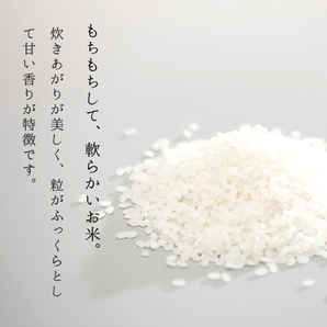 米 お米 10kg 山形県産 ひとめぼれ 送料無料 玄米 白米 精米無料 新米 令和5年産 一等米 30kg 20kg も販売中の画像3