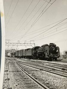 昭和鉄道写真：総武本線旧国電区間を走行するD51 641[新小岩]牽引貨物列車。1969年頃撮影。7.7×11.2㎝。
